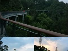 -金鸡山公园