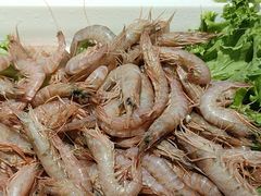 -宴小馆·小海鲜青岛菜(五四广场店)