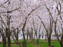 -龙美术馆西岸馆-停车场