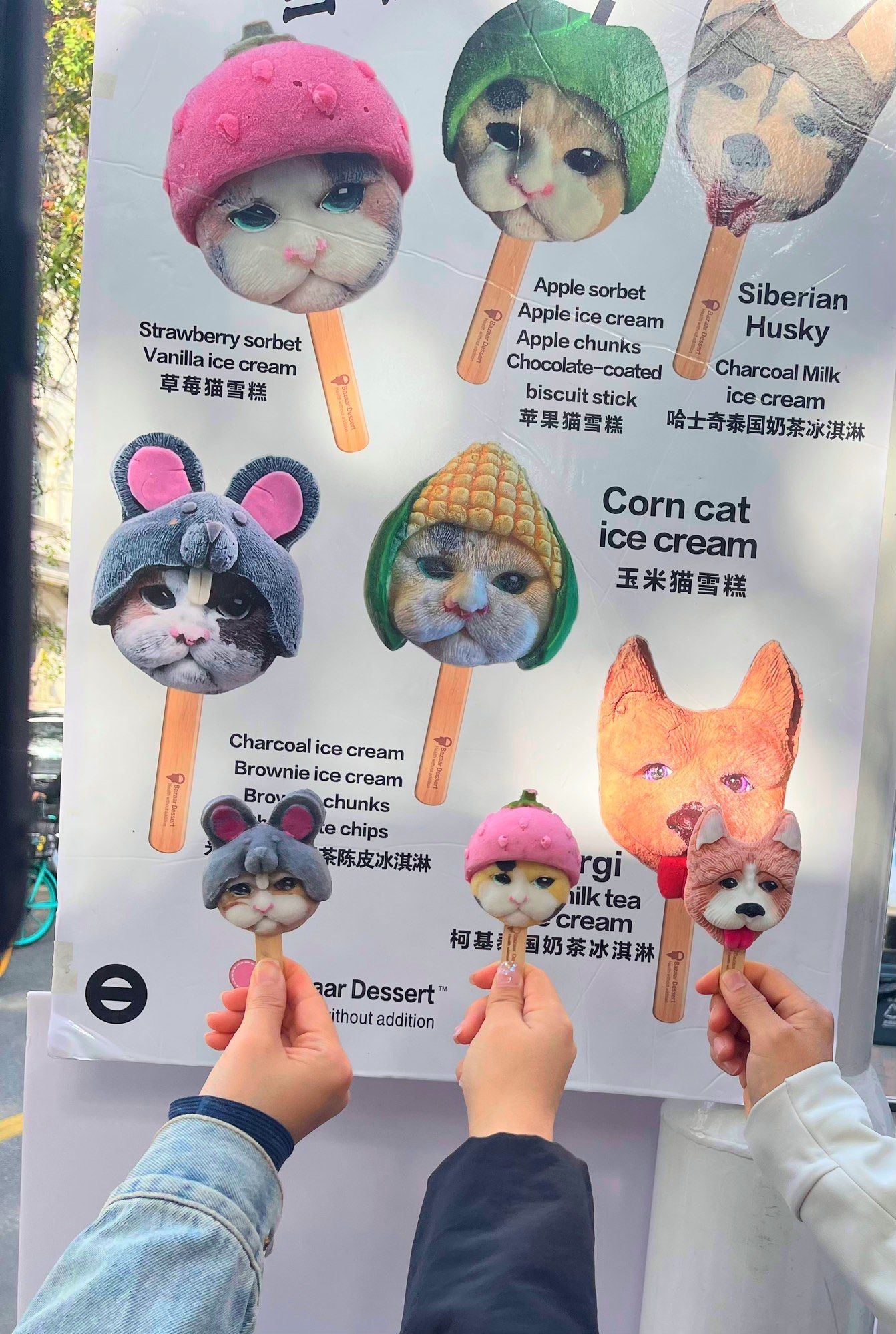 天津五大道网红店文创雪糕猫咪雪糕动物雪糕打卡雪糕无添加雪糕动