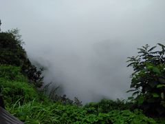 -铁山坪森林公园