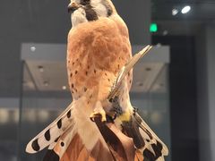 -東大方(湖州白鹭迎店)