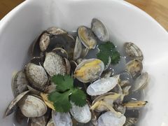 -小叶大馅饺子城