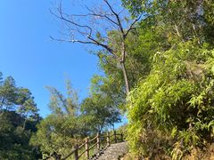 -广州白江湖森林公园