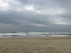 -红荔村肠粉(岗厦店)