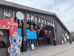 -青藏高原野生动物园