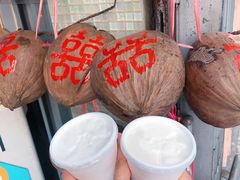 -洪馨椰子