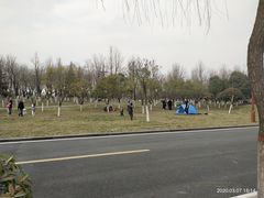 -洨河生态公园