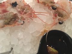 -Oyster Talks 四度蚝法餐厅