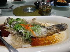 -齐家花园大酒店(宝山店)