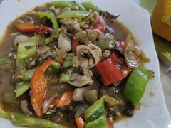 -琼海温泉鹅农家饭店