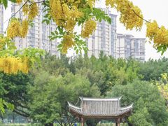 -光明港公园
