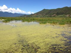 -泸沽湖国家级风景名胜区走婚桥