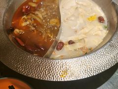 -麻田会 ·鲜活现烹·牛蛙火锅(珠江新城维家思广场店)