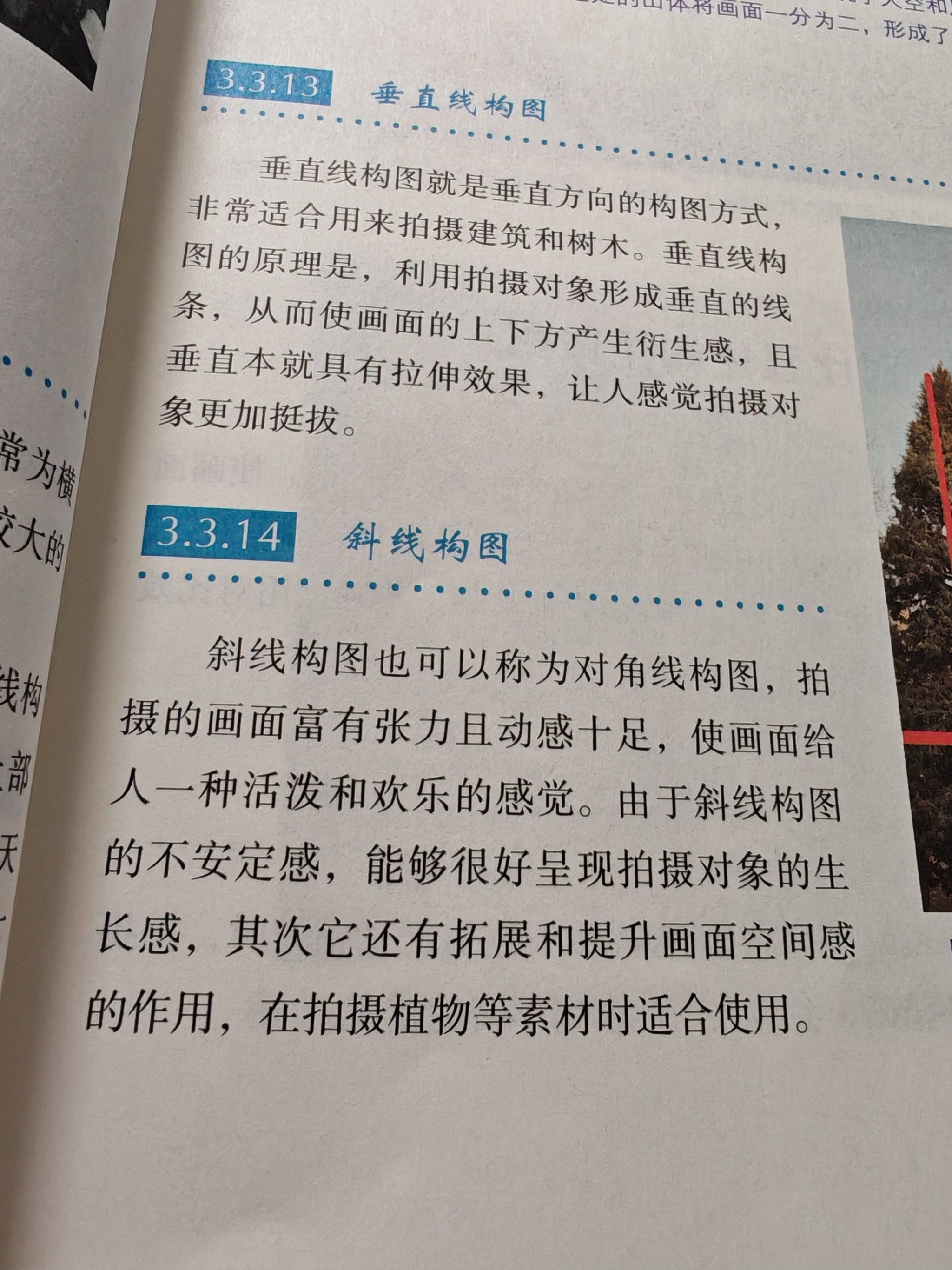 包含斜线构图摄影教程网站的词条