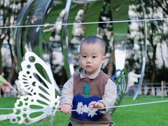 -重庆市江北嘴中央商务区中央公园