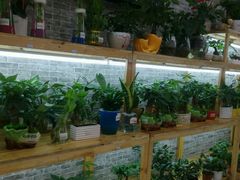 -卜蜂莲花(杨高北路店)