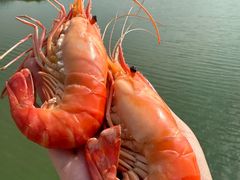 -七的湖·江南蟹舫·阳澄湖农家菜(蟹舫苑店)