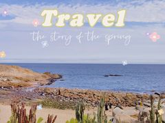 -广东惠东海龟国家级自然保护区