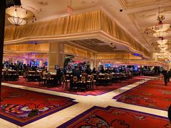 -拉斯维加斯永利酒店