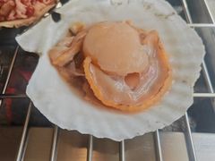 -震海贝烤贝·民俗特色店(延吉总店)