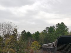 -昆山城市生态森林公园