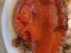 -子霖南山鲜虾面(南山总店)