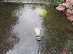 -水磨沟公园