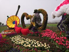 -荷兰花海