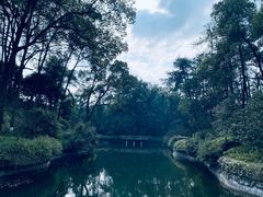 -南山植物园