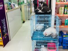 -瑞鹏宠物医院·微创内窥镜·骨外科·牙科(翠竹分院)