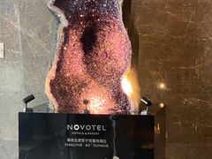 -玄武苏宁诺富特酒店·紫金轩中餐厅