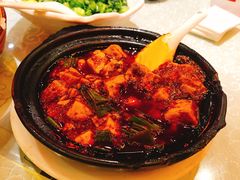 -陈麻婆豆腐总店
