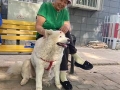 -宠福鑫康馨动物医院·骨科·眼科