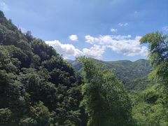 -藏龙百瀑风景区