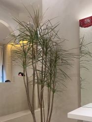 -Garden花園造型