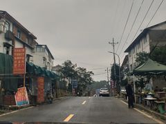 -铁山坪森林公园