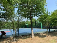 -九里河湿地公园
