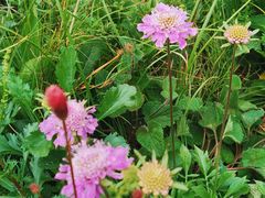 -白草畔自然风景区