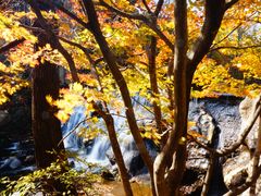 -丹东天桥沟景区