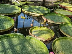 -国家植物园南园