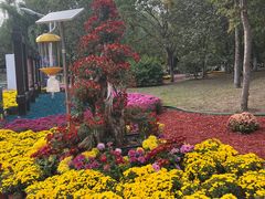 -黛秀湖公园
