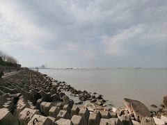 -上海滨江森林公园