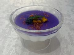 蝶豆腐花手工老酸奶-丁老爷子苏香圆