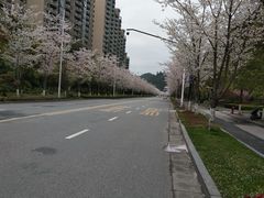 -千岛湖忆湖度假酒店(中心湖景区店)