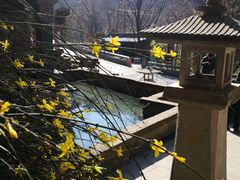 -呱呱叫民俗风味主题餐厅(沣峪口店)