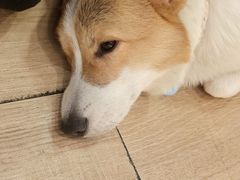 -天井·丑面包搭咖啡
