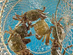 -SHRIMP CLUB万东餐饮钓虾·清吧