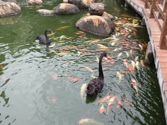 -花果山庄•现烤荔枝柴烧鹅