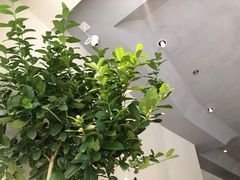 -fishtank鱼缸咖啡(三山街店)